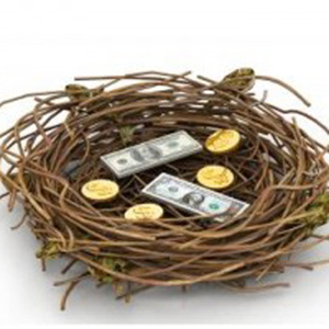 -money-nest.jpg