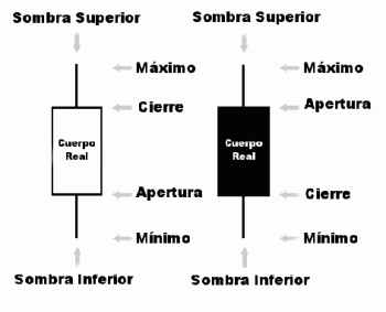 -anatomiadevelajaponesa12.gif