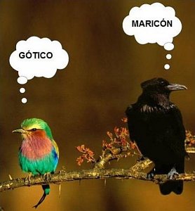 -pajaros.jpg