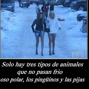 -pijas-frio.jpg