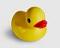 Accede a la Cartera patito